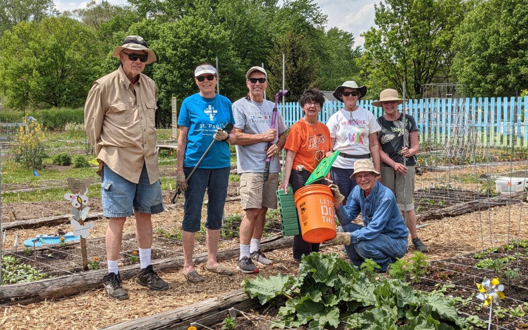 Community Garden has record harvest